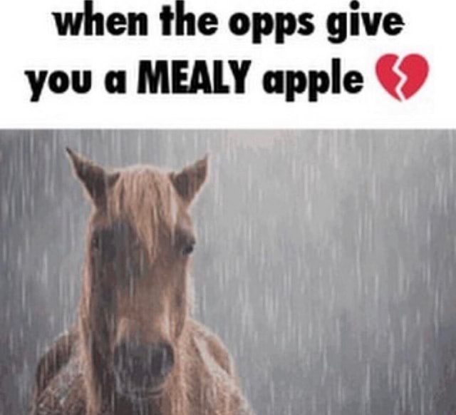 en-the-opps-give-you-a-mealy-apple-ifunny