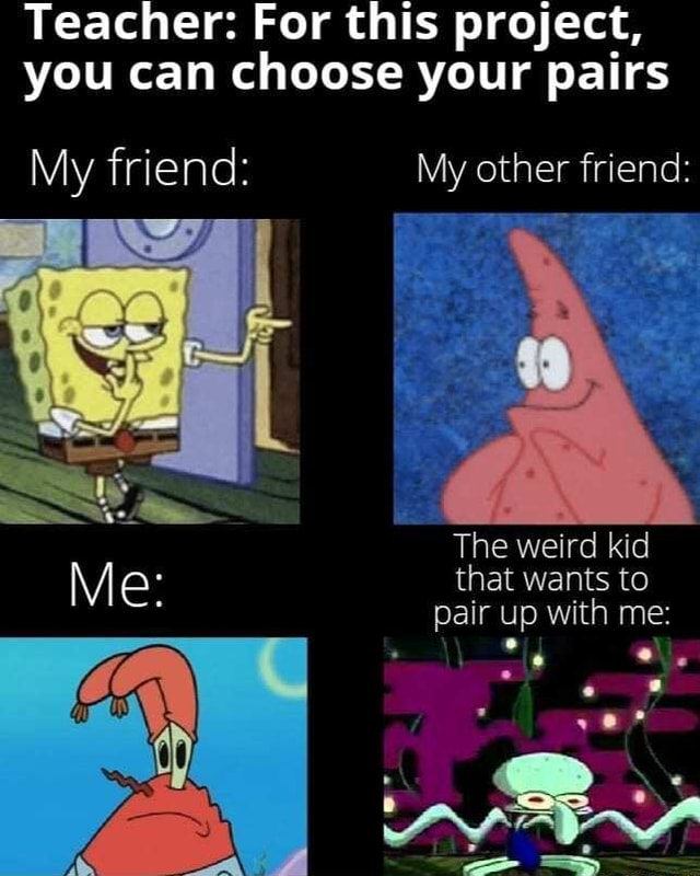 Teacher For This Project You Can Choose Your Pairs My Friend My Other Friend The Weird Kid That Wants To Pair Up With Me