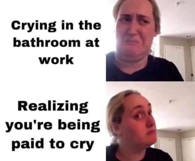 Dumpity Doo Numero Dos Crying In The Bathroom At Work Realizing Youre Being Paid To Cry Ifunny