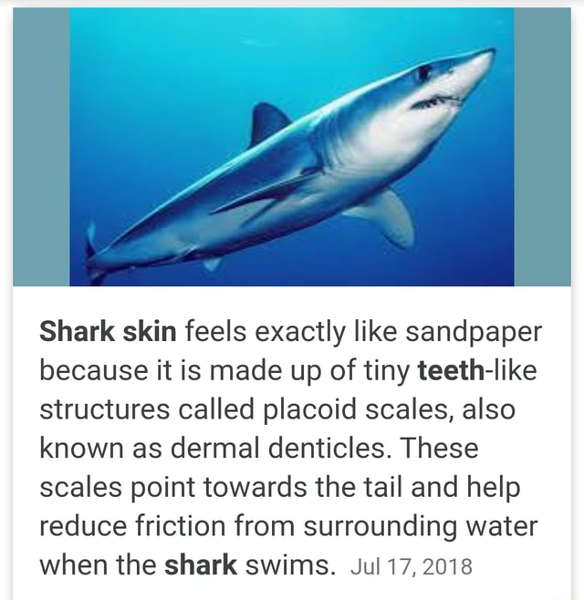 Shark skin feels exactly like sandpaper because it is made up of tiny