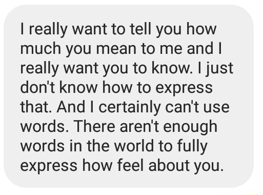 I can't really express in words what you mean to me. To me - Quozio