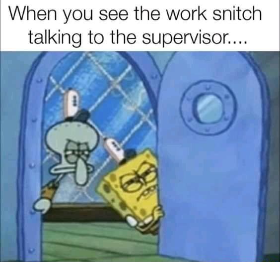 15 Memes I stole from Dank Memer #9 - When you see the work snitch ...