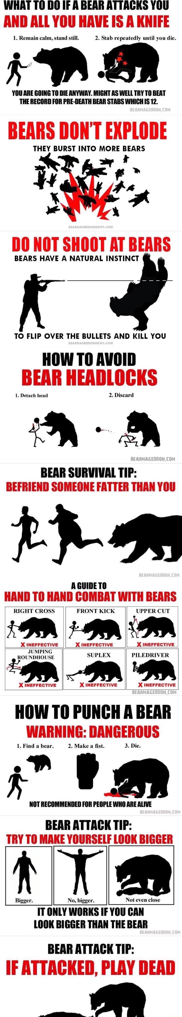 what-to-do-if-a-bear-attacks-you-and-all-you-have-is-a-knife-1-remain