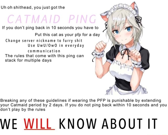 Uh oh shithead, you just got the CATMAID PING If you don't ping back in ... We Have Your Back