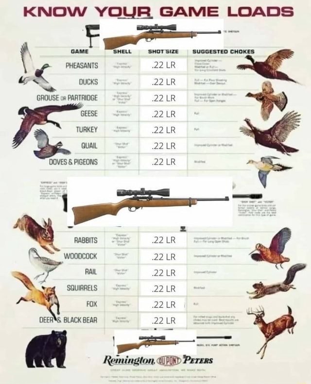 KNOW YOUR GAME LOADS ( PHEASANTS DUCKS 'SHELL .22 22 SHOT LR LR SIZE