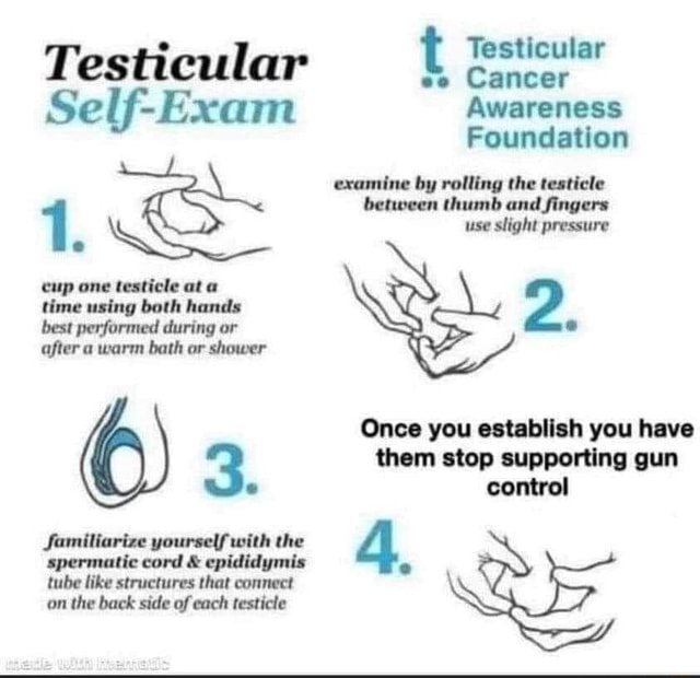 Testicul Testicular Beticuler Self-Exam Awareness Foundation examine by ...