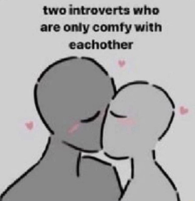 Two Introverts Who Are Only Comfy With Ifunny