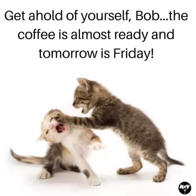 get-ahold-of-yourself-bob-the-coffee-is-almost-ready-and-tomorrow-is