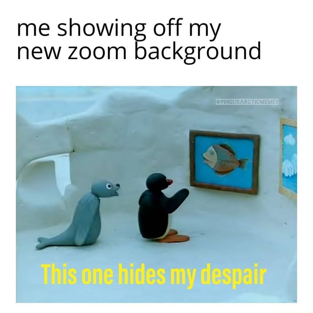 Me showing off my new zoom background iFunny