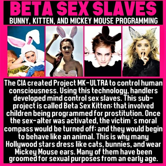 Bunny Kitten And Mickey Mouse Programming The Cia Created Project Mk Ultra To Control Human Consciousness Using This Technology Handlers Developed Mind Control Sex Slaves This Sub Project Is Called Beta Sex Kitten