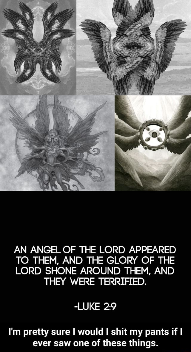 AN ANGEL OF THE LORD APPEARED TO THEM, AND THE GLORY OF THE LORD SHONE ...