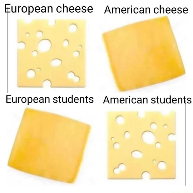European cheese American cheese oN European students American students iFunny