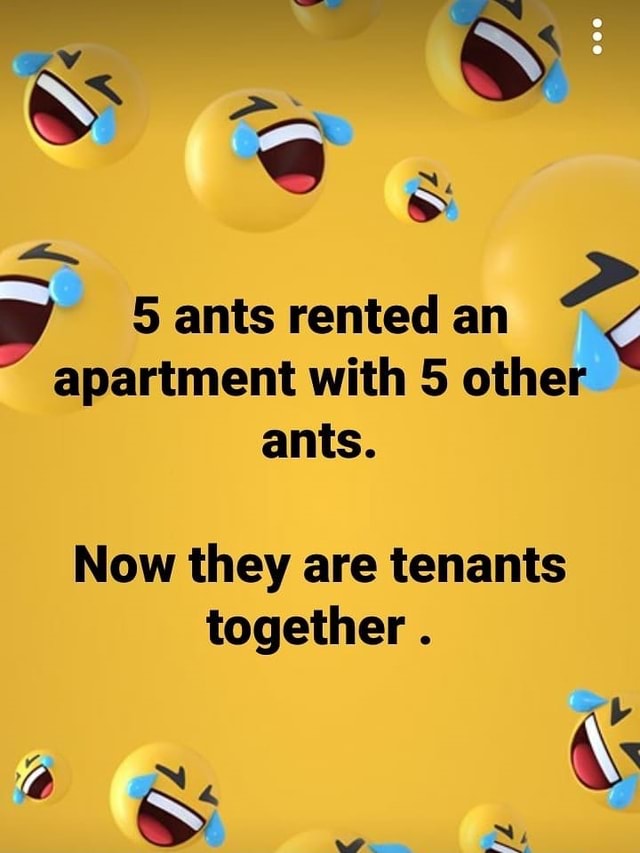 NJ 5 ants rented an apartment with 5 other ants. Now they are tenants ...