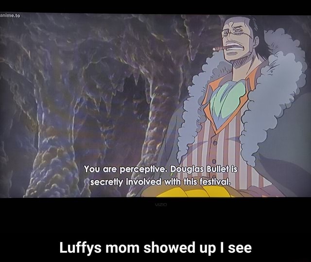 Luffys mom showed up I see - Luffys mom showed up I see - iFunny