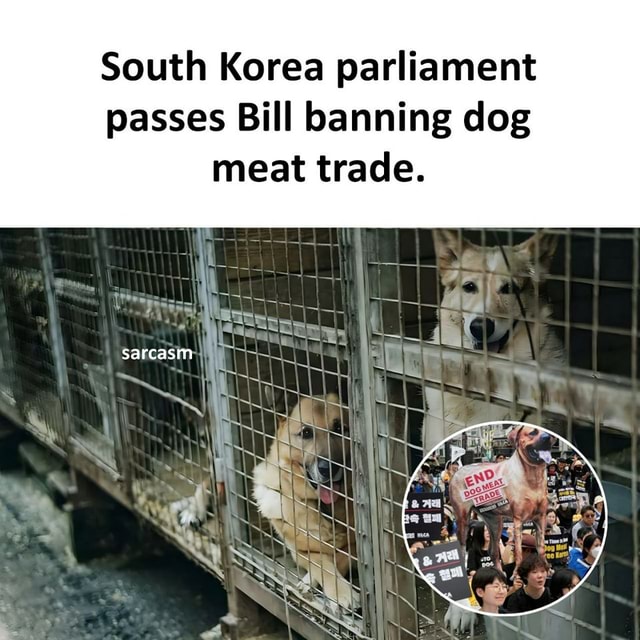 The slaughter and sale of dogs for their meat is to illegal in