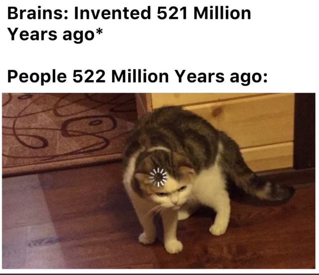 Brains Invented 521 Million Years ago* People 522 Million Years ago
