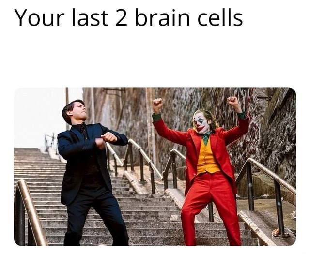 Your last 2 brain cells - iFunny