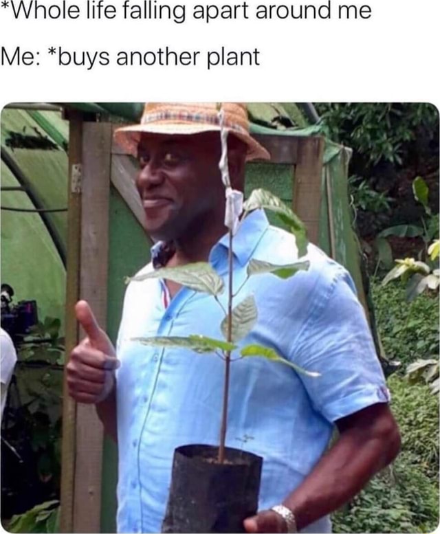Whole life falling apart around me Me: *buys another plant - iFunny