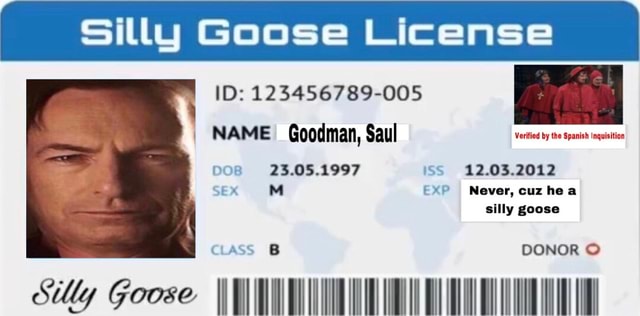 Silly Goose Id 