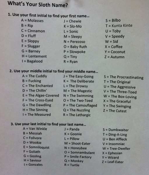 What S Your Sloth Name 1 Use Your First Initial To Find Your First Name J Chewie K Slo Mo A Molasses Rip Cinnamon Fluff Sloppy Slugger G Barney H Lentement Bagalood 2 Use Your Middle Initial To Find