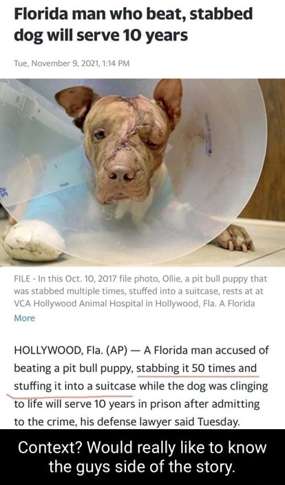 Florida man who beat, stabbed dog will serve 10 years ILE - In this Oct ...