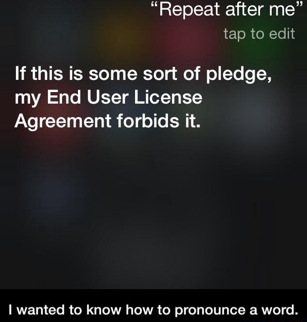 If This Is Some Sort Of Pledge My End User License Agreement Forbids It I Wanted To Know How To Pronounce A Word I Wanted To Know How To Pronounce A
