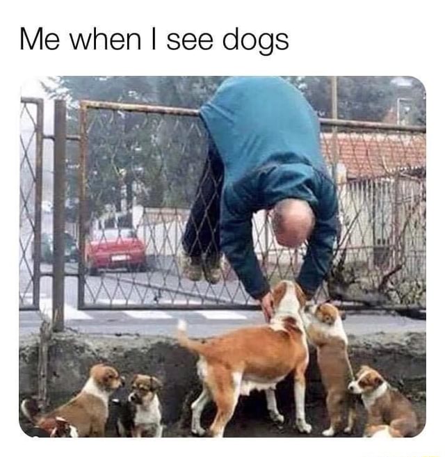 Me when I see dogs iFunny