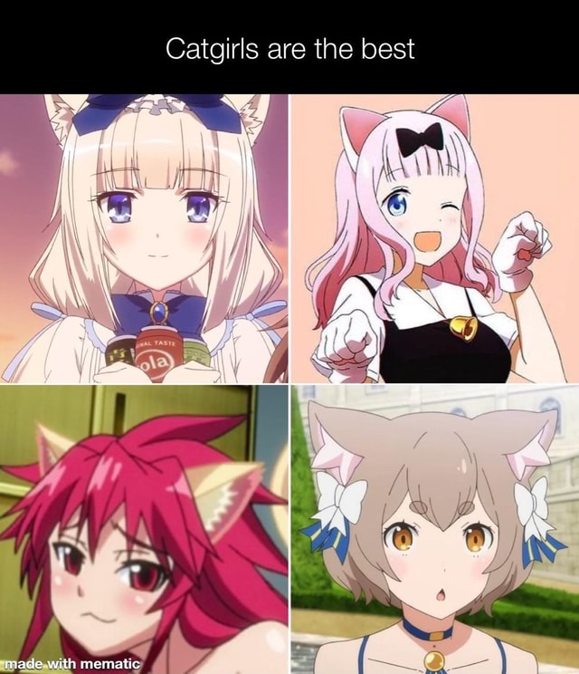 Catgirls are the best made-with - )