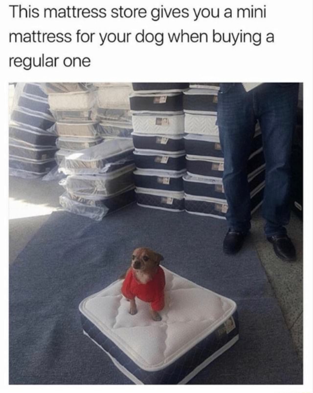 mini mattress for dog