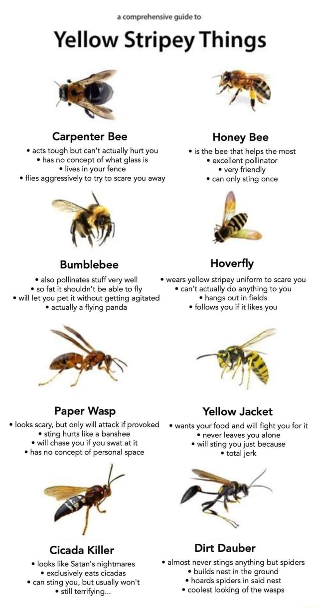 do bumble bees sting