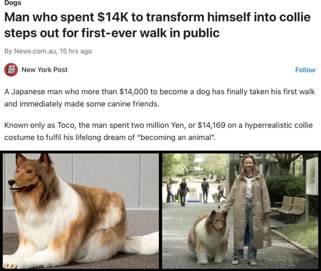 Dog lover spends £12,500 transforming himself into a collie