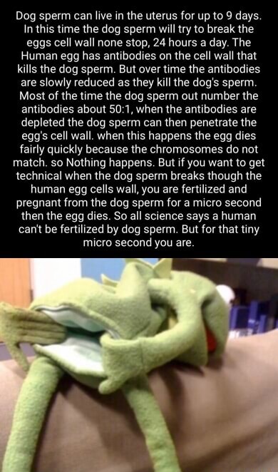 Dog sperm can live in the uterus for up to 9 days. In this time the dog
