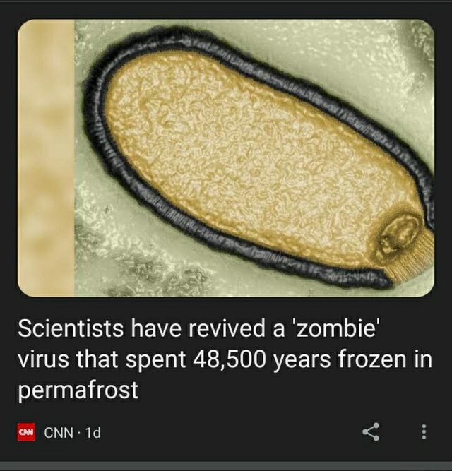 Scientists Have Revived A 'zombie' Virus That Spent 48,500 Years Frozen ...