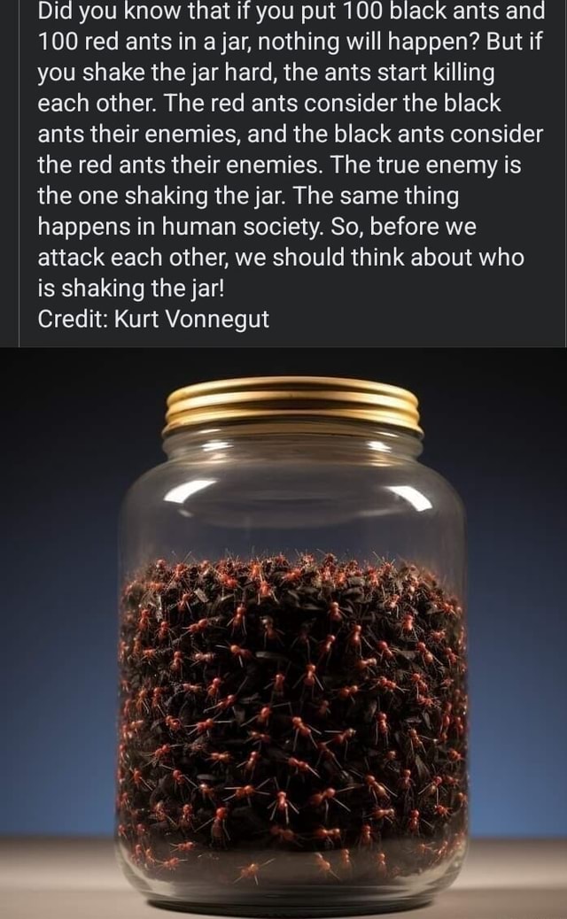 Did you know that if you put 100 black ants and 100 red ants in a jar ...