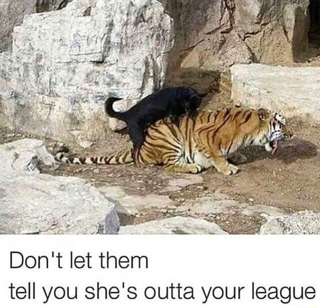 Don