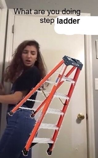 What Are You Doing Step Ladder
