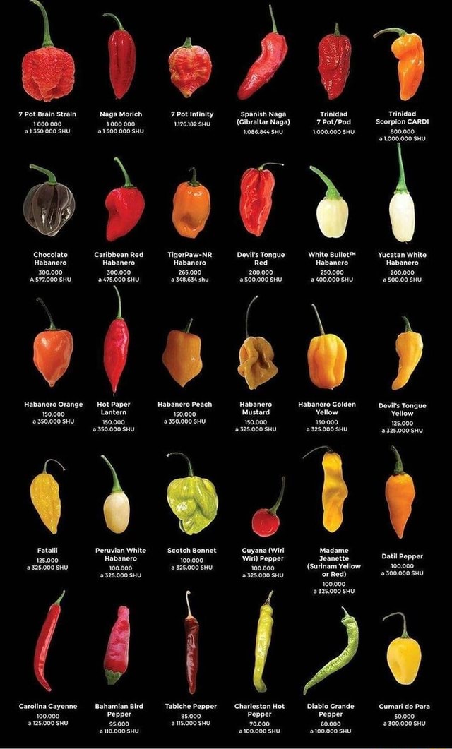 Habanero Habanero Red Habanero 300.000 Peruvian White Scotch Bonnet ...