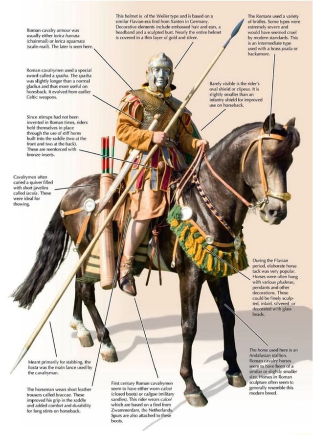 What Were Roman Horses Breeds