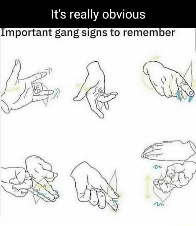 It's really obvious Important gang signs to remember ON iFunny