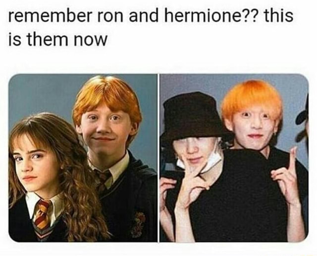 Remember ron and hermione?? this is them now - iFunny