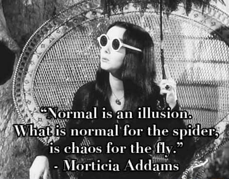 Is Is Normitl For The Is Chaos For The Fly.~ Ia Addi Ains - )