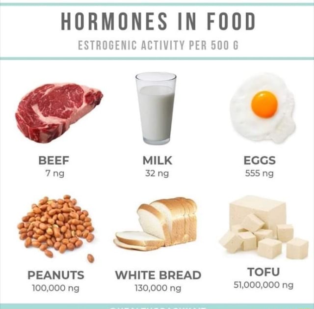 HORMONES IN FOOD ESTROGENIC ACTIVITY PER 500 6 ES PEANUTS WHITE BREAD