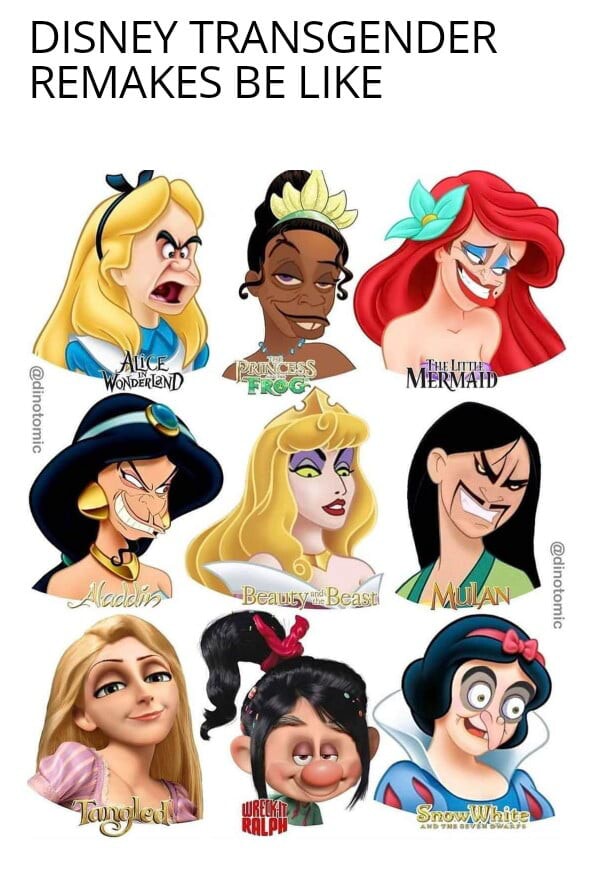 DISNEY TRANSGENDER REMAKES BE LIKE - America’s Best Pics And Videos