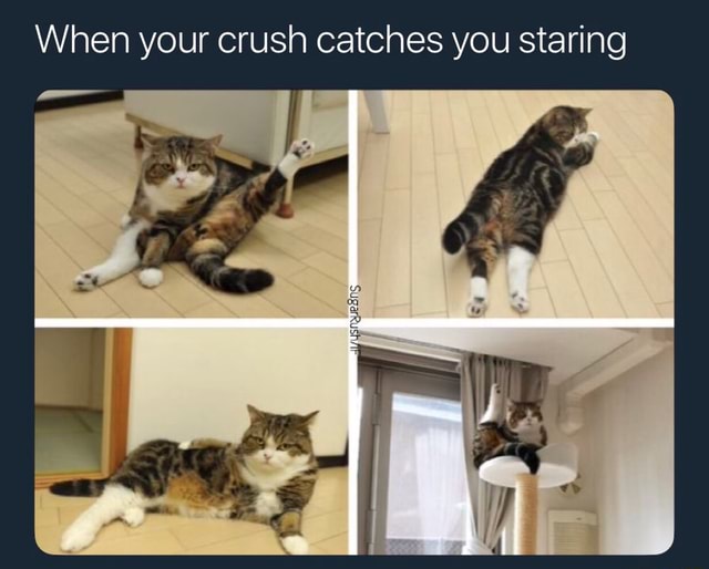 When your crush catches you staring - iFunny