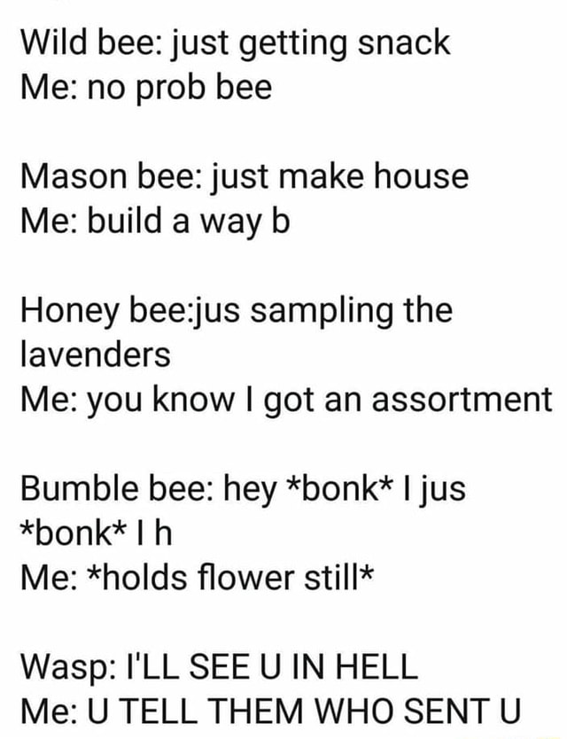 Wild Bee Just Getting Snack Me No Prob Bee Mason Bee Just Make House Me Build A Way B Honey Beezjus Sampling The Iavenders Me You Know I Got An Assortment Bumble