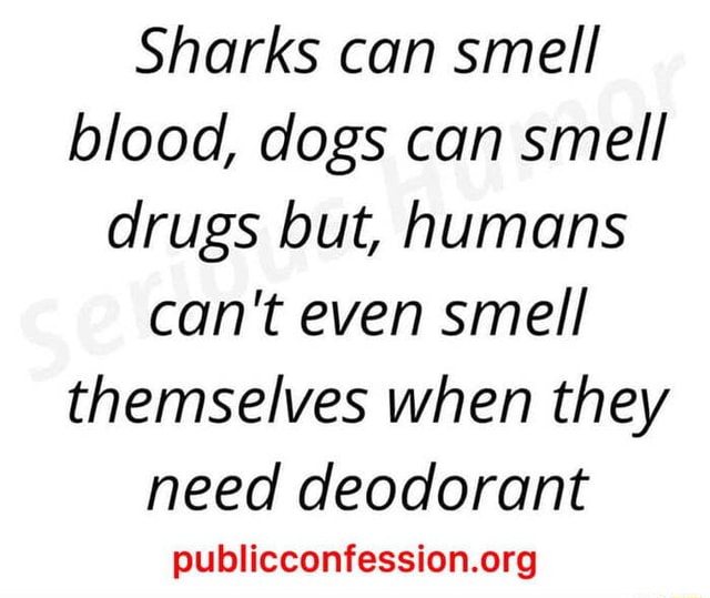 Sharks can smell blood, dogs can smell drugs but, humans can't even
