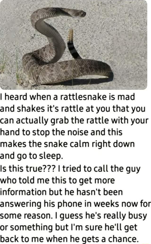 I heard when a rattlesnake is mad and shakes it's rattle at you that