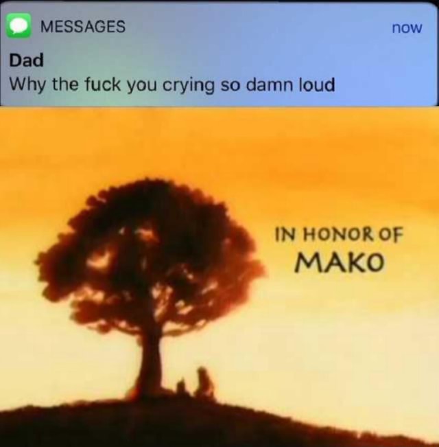 Dad Why The Fuck You Crying So Damn Loud In Honor Of Ifunny