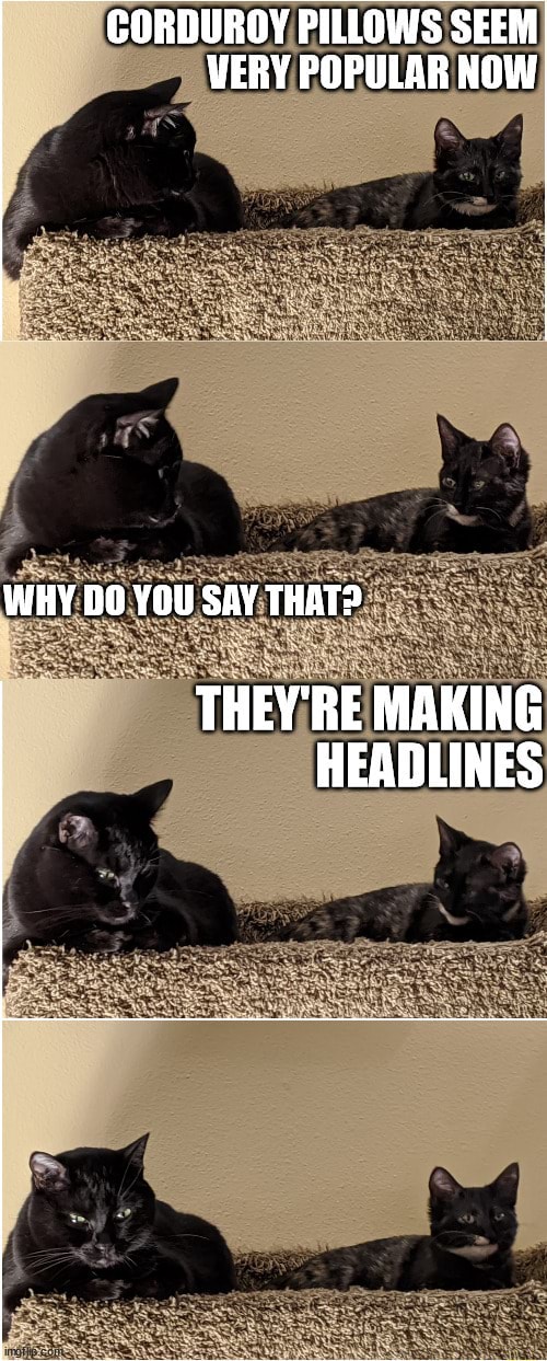 Splunk & Smudge CORDUROY PILLOWS SEEM VERY POPULAR NOW WHY DO YOU SAY