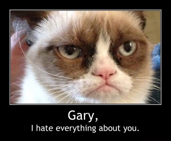 Gary I Hate Everything About You Gary I Hate Everything About You Ifunny